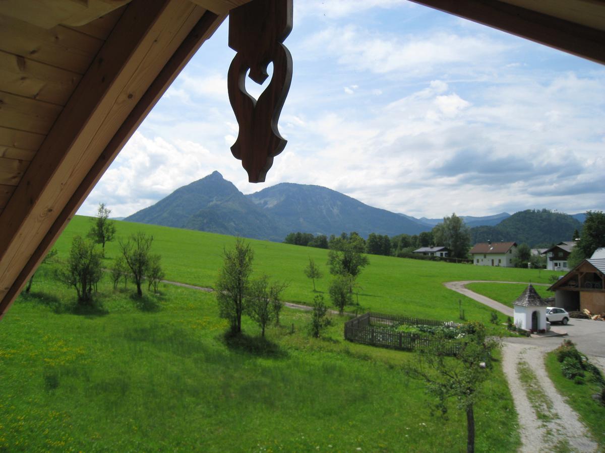 Ferienhutte Wolfgangsee Saint Wolfgang Extérieur photo